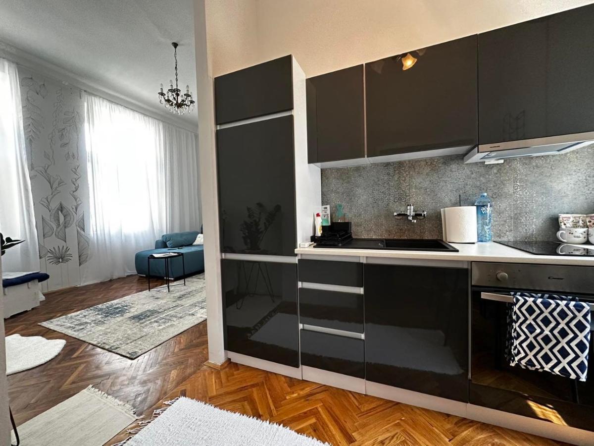 Pure Of Joy City Centre Apartment Szabadka Kültér fotó